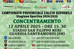 12-APRILE-MANIFESTO