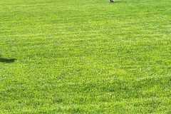 IMG-20250506-WA0032