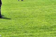 IMG-20250506-WA0033
