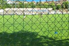 IMG-20250506-WA0042