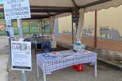 IMG-20250506-WA0050