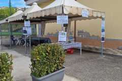 IMG-20250506-WA0053