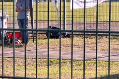 Peschici_31-2giugno